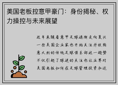 美国老板控意甲豪门：身份揭秘、权力操控与未来展望