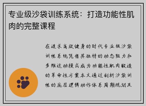 专业级沙袋训练系统：打造功能性肌肉的完整课程