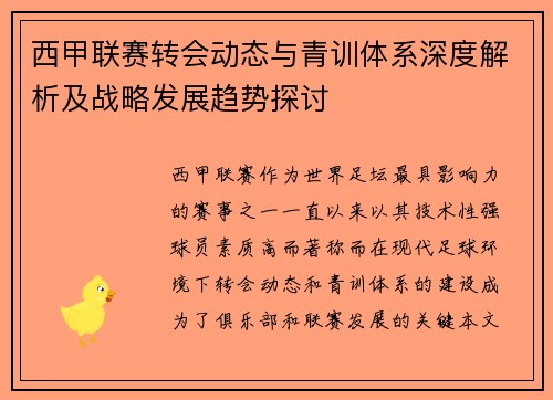 西甲联赛转会动态与青训体系深度解析及战略发展趋势探讨